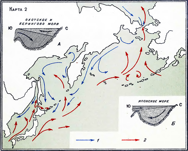 Схема течений в северо-западной части Тихого океана