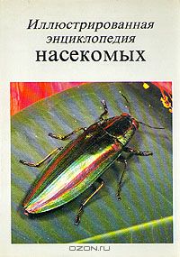 В. Я. Станек / Иллюстрированная энциклопедия насекомых / Армия насекомых необозримо велика: число отдельных её особей, ...