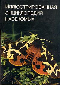 В. Я. Станек / Иллюстрированная энциклопедия насекомых / Армия насекомых необозримо велика; число отдельных её особей, ...