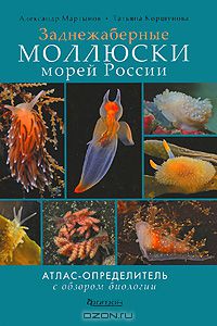 Александр Мартынов, Татьяна Коршунова / Заднежаберные моллюски морей России. Атлас-определитель с обзором биологии / Это первый иллюстрированный атлас-определитель заднежаберных ...