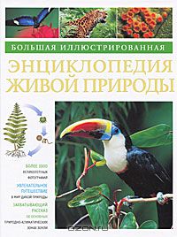 Дэвид Берни / Большая иллюстрированная энциклопедия живой природы / Эта великолепно иллюстрированная энциклопедия распахивает ...