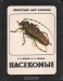 Насекомые / В книге даётся общая характеристика класса насекомых, описаны насекомые основных ландшафтов Карелии, приводится видовой обзор насекомых. Из всего многообразия карельских насекомых авторы выбрали наиболее характерные виды, встречающиеся чаще других.