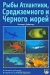 Рыбы Атлантики, Средиземного и Чёрного морей / Многие европейские аквалангисты начинали свой путь под воду в Средиземном море. Так было и с автором этой книги. И сколько бы он не уезжал к далёким тропическим морям, он неизменно возвращается в родное Mare Nostrum — изучать и фотографировать обитающих здесь животных. Его опыт и знания воплотились 