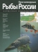 Пресноводные рыбы России / Рыбы населяют водоёмы всех типов, начиная с морей и заканчивая крохотными прудами, они встречаются и в тропиках, и под вечными льдами. Богаты водными обитателями водоёмы России, на территории которой насчитывается более 120 тысяч рек и около 2 миллионов озёр; её берега омывают воды 12 морей трёх оке